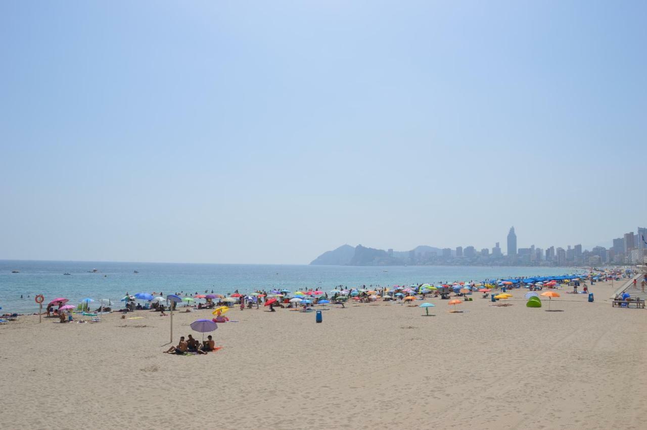 Marconi Anis Primera Linea Benidorm Dış mekan fotoğraf